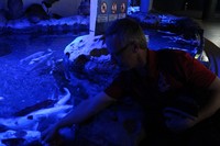 img_0256.jpg